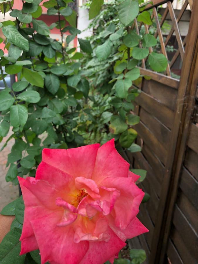 La Porta Nel Giardino Apartment Asti Luaran gambar